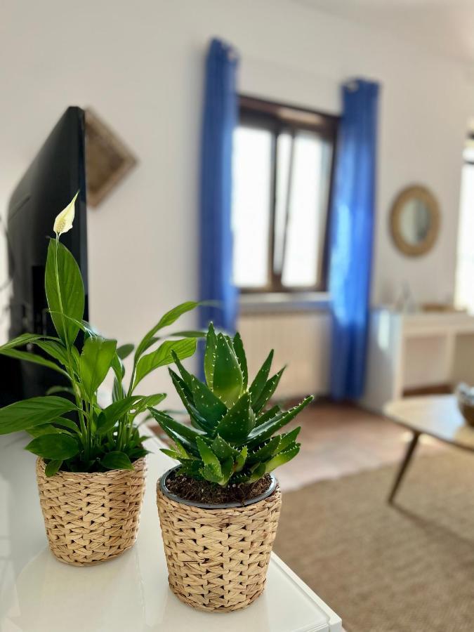 菲乌米奇诺Sea Breeze House公寓 外观 照片